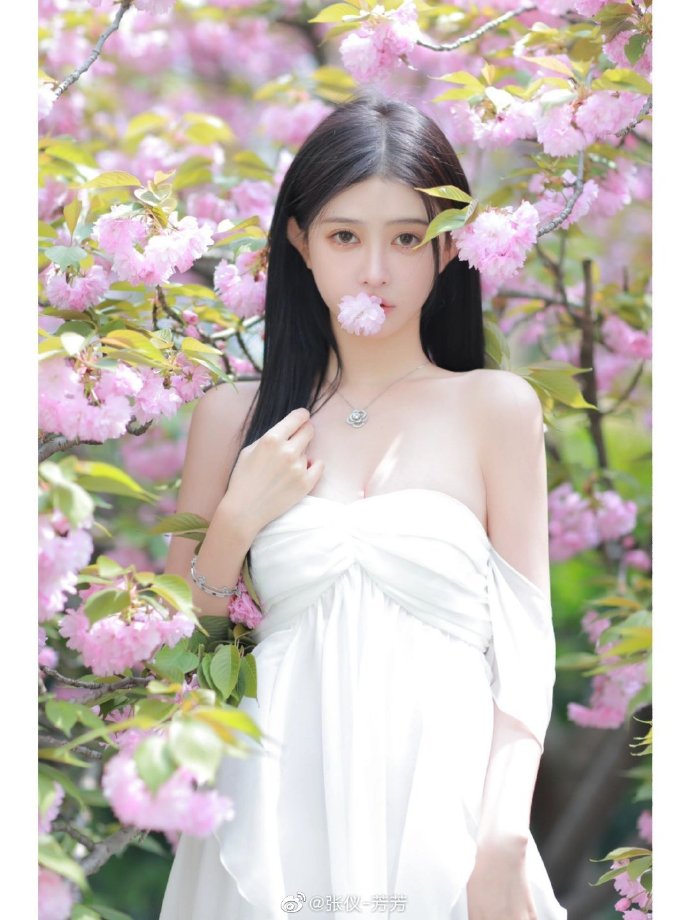 但愿春日安好，往后尽是鲜花烂漫