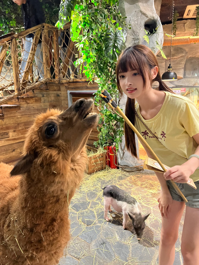 好可爱！好软！好乖！好臭！